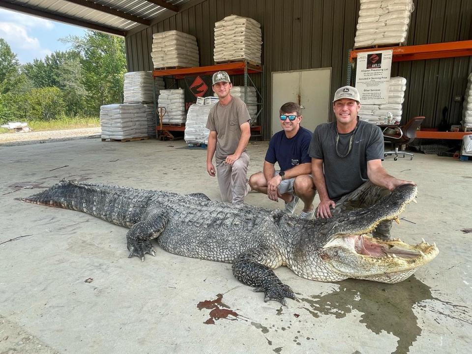 A new state record was broken by this huge beast, MSWFP confirms (Mississippi Department of Wildlife, Fisheries, and Parks)