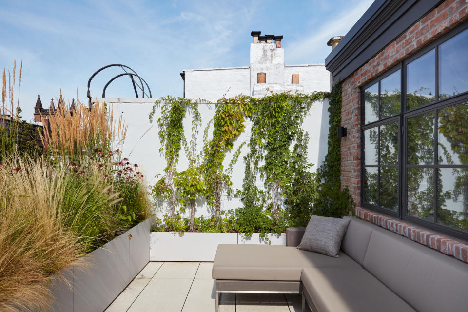 A backyard with small sofa