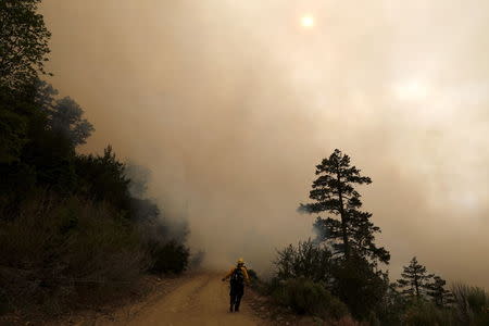 Chon Bribiescas, 59, of the U.S. Forest Service views the edge of a wildfire in Heart Bar in the San Bernardino National Forest near Big Bear Lake, California, June 18, 2015. REUTERS/Lucy Nicholson