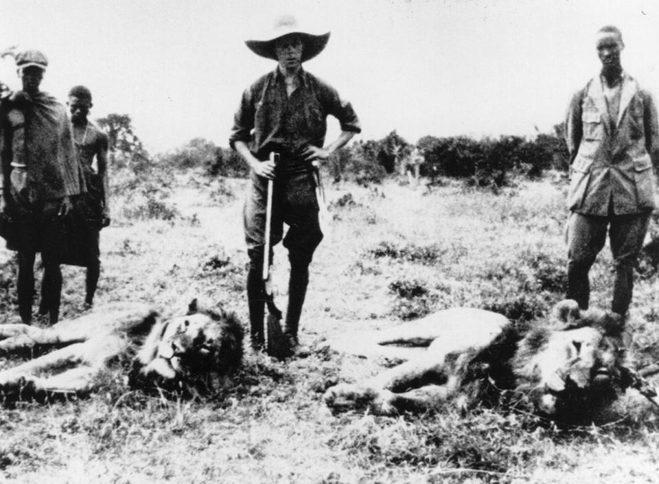 Danish novelist Isak Dinesen (pseudonym of Baroness Karen Christence Blixen-Finecke) posing with dead lions and a rifle on a safari in Kenya, circa 1914. <cite>Hulton Archive/Getty</cite>