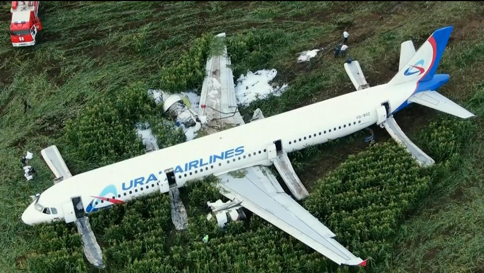 In this video grab provided by the RU-RTR Russian television, a Russian Ural Airlines' A321 plane is seen after an emergency landing in a cornfield near Ramenskoye, outside Moscow, Russia, Thursday, Aug. 15, 2019. The Russian pilot was being hailed as a hero Thursday for safely landing his passenger jet in a corn field after it collided with a flock of gulls seconds after takeoff, causing both engines to malfunction. (RU-RTR Russian Television via AP)