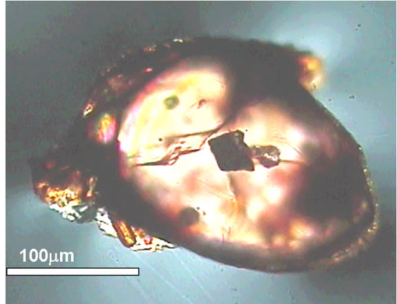 A transmission light image of a Jack Hills zircon showing an angular "diamond" inclusion, published in the journal Nature in 2007.