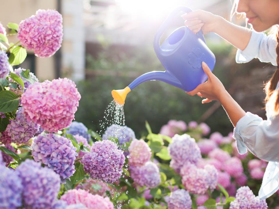 Woman watering flowers