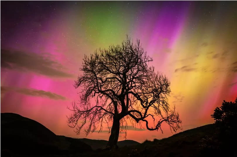 Aurora, Glen Devon, Perthshire, 10.05.24; photograph by Richard Harvey -Credit:Richard Harvey