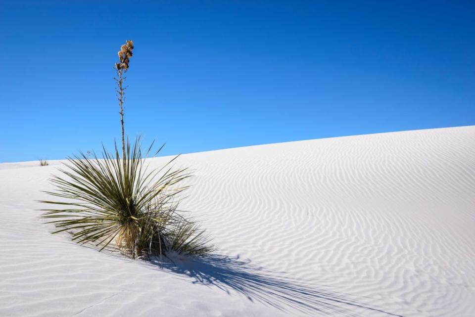 These Photos of U.S. National Parks Will Leave You Longing For a Weekend Away