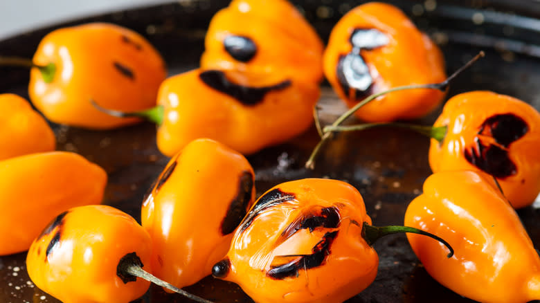 charred orange chiles