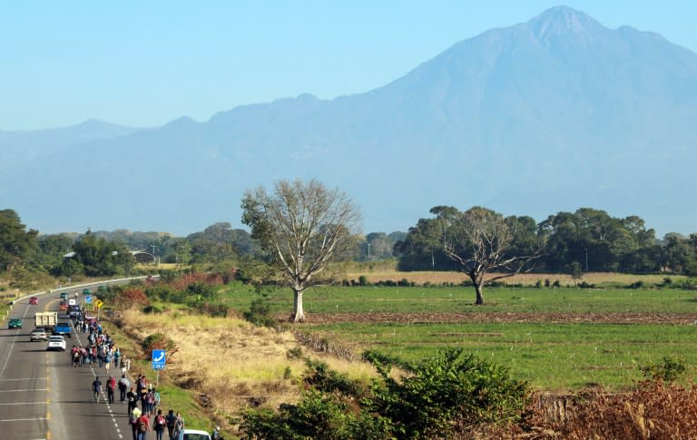 Around 2,000 migrants are in the latest caravan, and some members crossed illegally into Mexico where they are pictured alongside the road between Ciudad Hidalgo and Tapachula, in Chiapas state