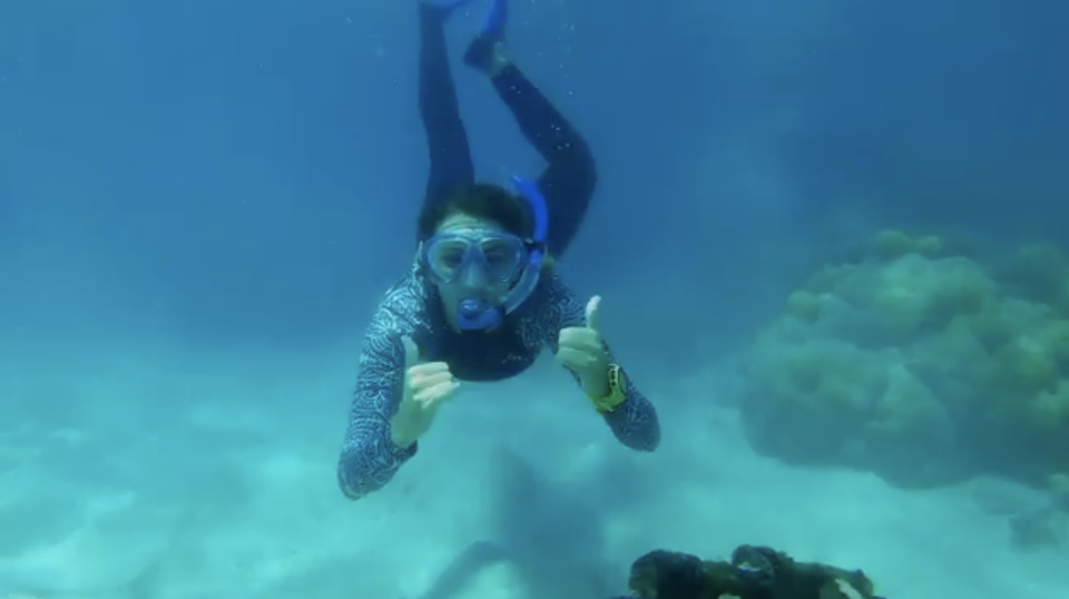 A woman snorkels in a Tourism Australia ad, launched just after a shark attack on the Whitsundays.