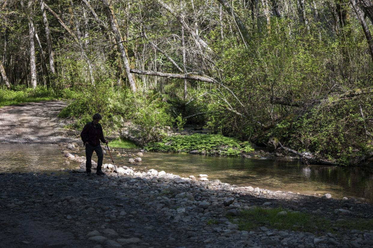 Angelica Glass hikes along Hinckley Basin Road in Santa Cruz County.