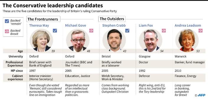 The Conservative leadership candidates (AFP Photo/Jonathan Jacobsen)