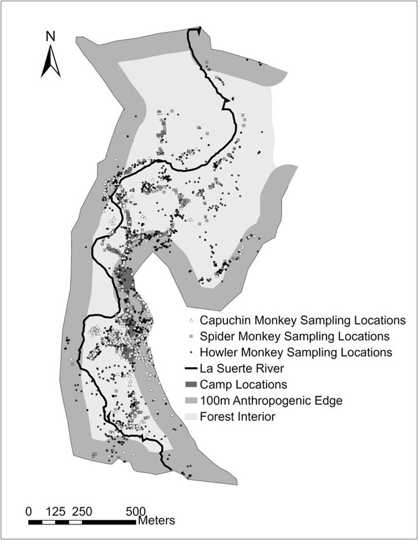 Mapa de la Estación de Investigación Biológica La Suerte (Costa Rica) que muestra el área de estudio del comportamiento de tres especies diferentes de monos platirrinos | Bolt, Laura M., et al. American Journal of Primatology (2024) DOI:10.1002/ajp.23610.