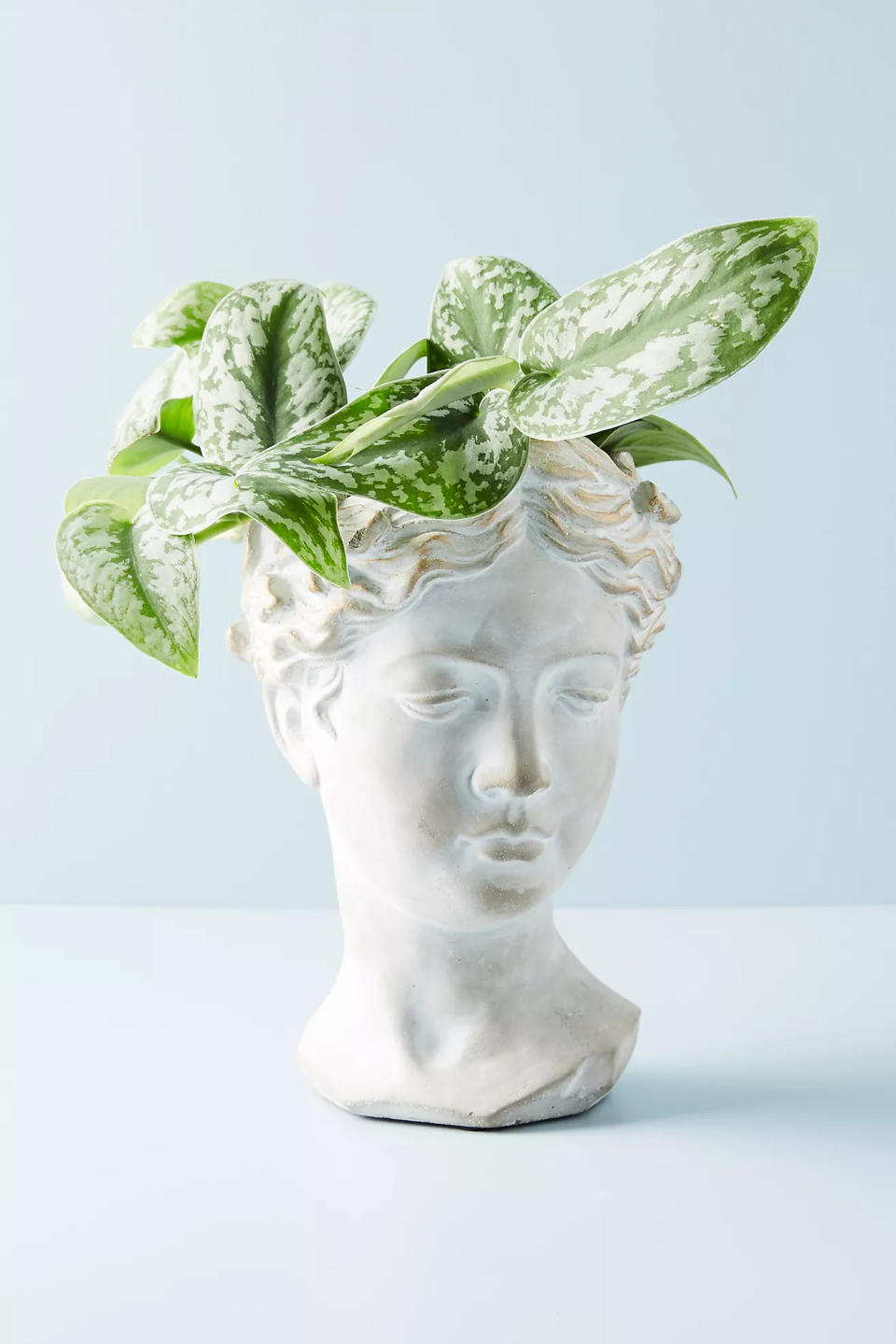 Grecian Bust Pot. Image via Anthropologie.