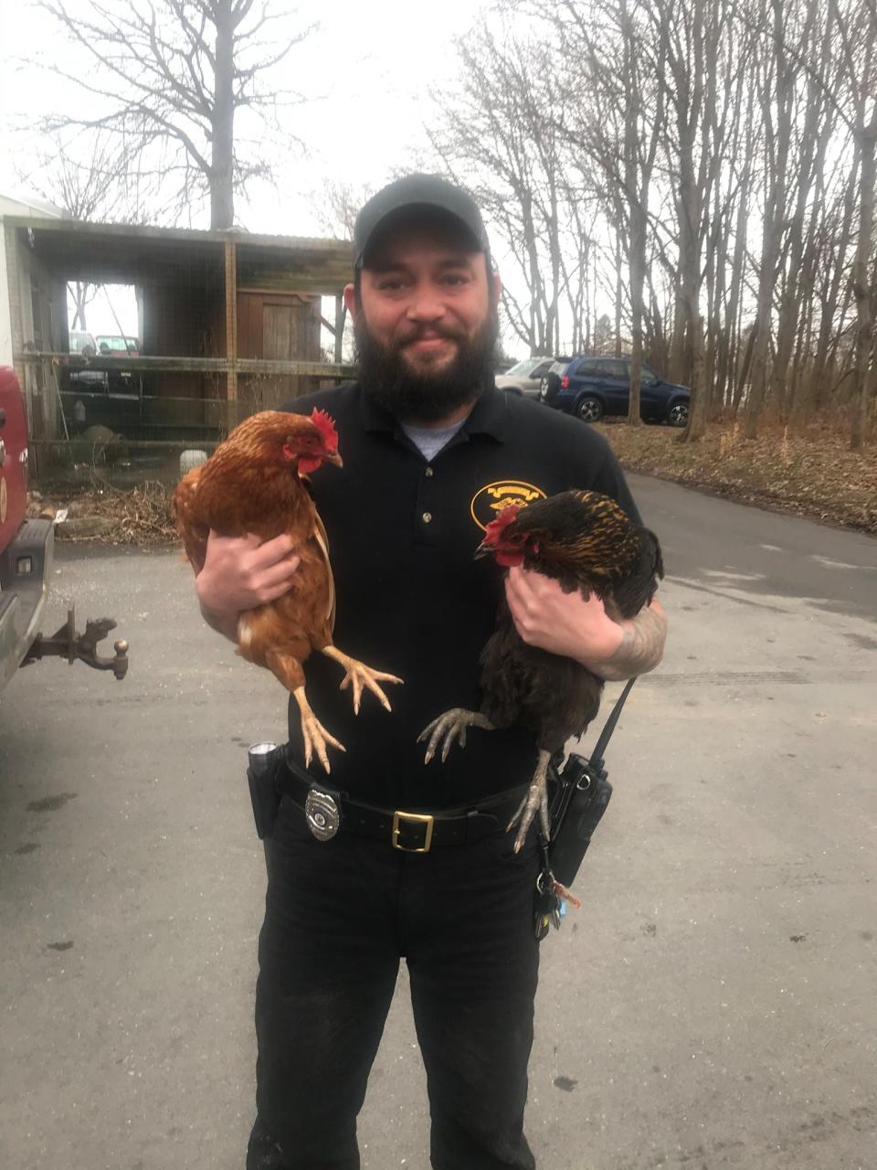 Officer Robbie und die beiden verdächtigen Hühner, die es auf Kund*innen einer McDonald's-Filiale abgesehen hatten. Foto: Facebook / Washington Township Police Department