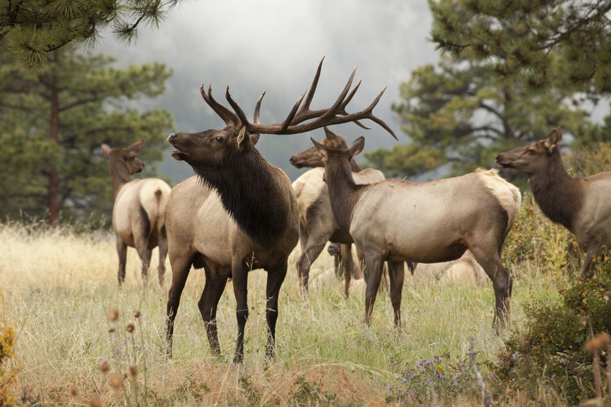 Rocky Mountain National Park, Colorado