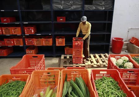An employee sorts out vegetables before packing them at a Big Basket warehouse on the outskirts of Mumbai November 4, 2014. REUTERS/Danish Siddiqui