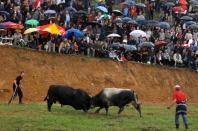 FILE PHOTO: Two bulls fight in the Granice village near Busovaca, about 80km from the capital Sarajevo as thousands of Bosnians gather to watch in a tradition that dates back over 200 years.