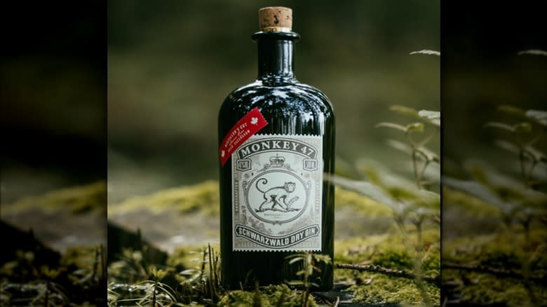 A bottle of Monkey 47 gin in a forest