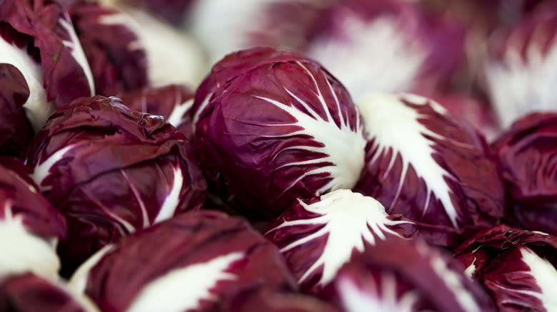 pile of radicchio 