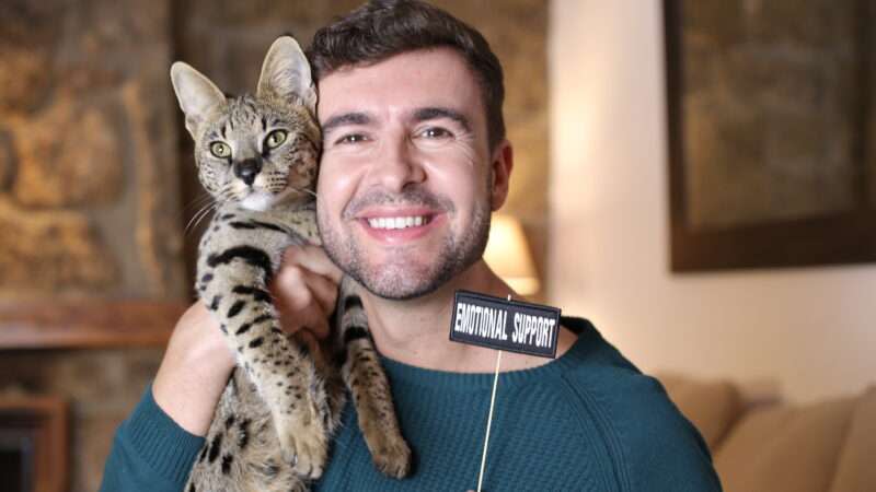 A man holds a cat in one hand a sign that says emotional support in the other