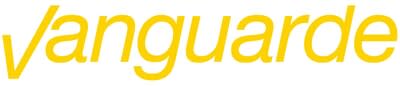 Vanguarde specializes in executive search and a range of advisory services.