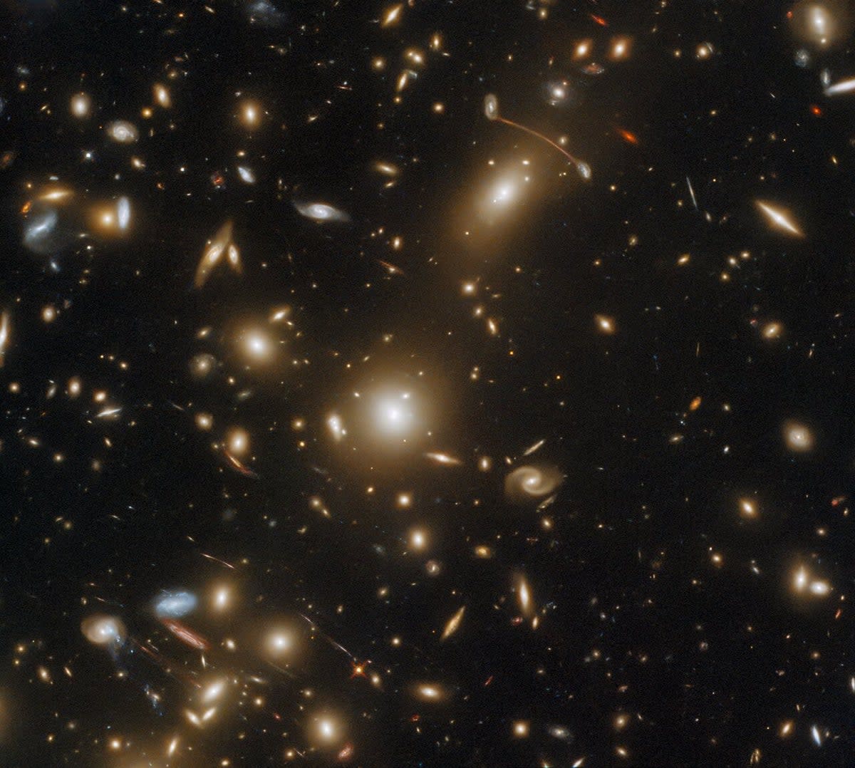 An image of the distant galaxy cluster Abell 1351 taken by the Hubble Space Telescope (ESA/Hubble & NASA, H. EbelingAck)