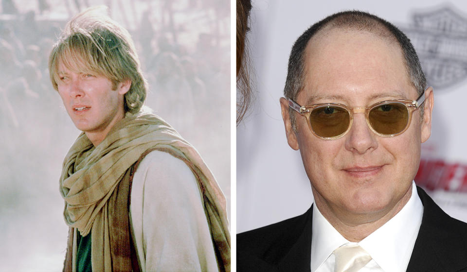 James Spader: Kudos to the ever-awesome Spader not giving an actorly toss about losing that unruly mane as seen in ‘Stargate’, ‘White Palace’ and ‘Crash’, even though these days he does often rock a wicked fedora.