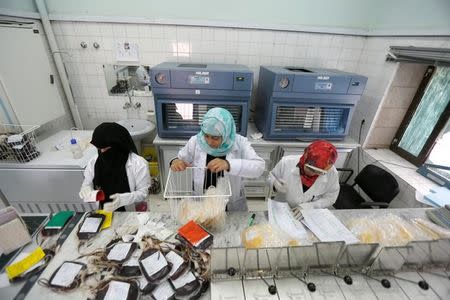 Employees register bags of blood at a blood transfusion centre in Sanaa, Yemen August 7, 2017. REUTERS/Khaled Abdullah