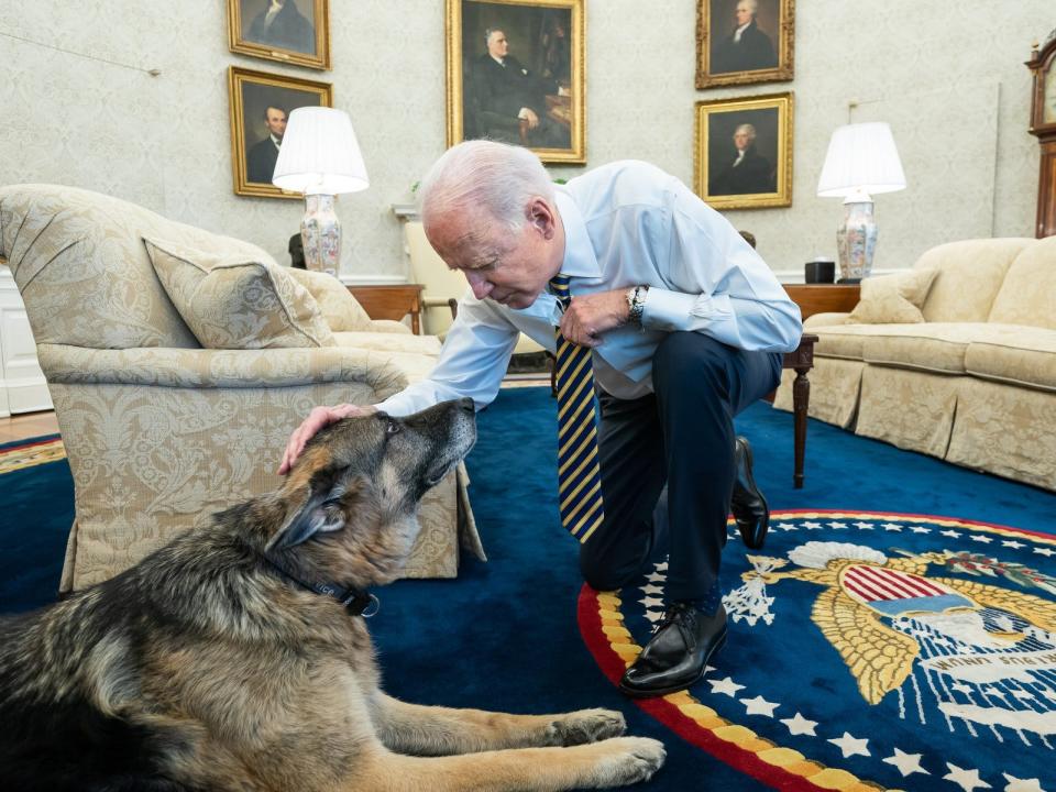 President Joe Biden pets Champ in the Oval Office in February 2021.