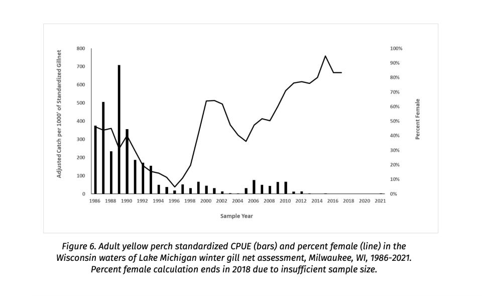 A graph shows the overall declining catch of Lake Michigan yellow perch (bars) and varying percentage of females (line) in the DNR's annual graded mesh assessment near Milwaukee.