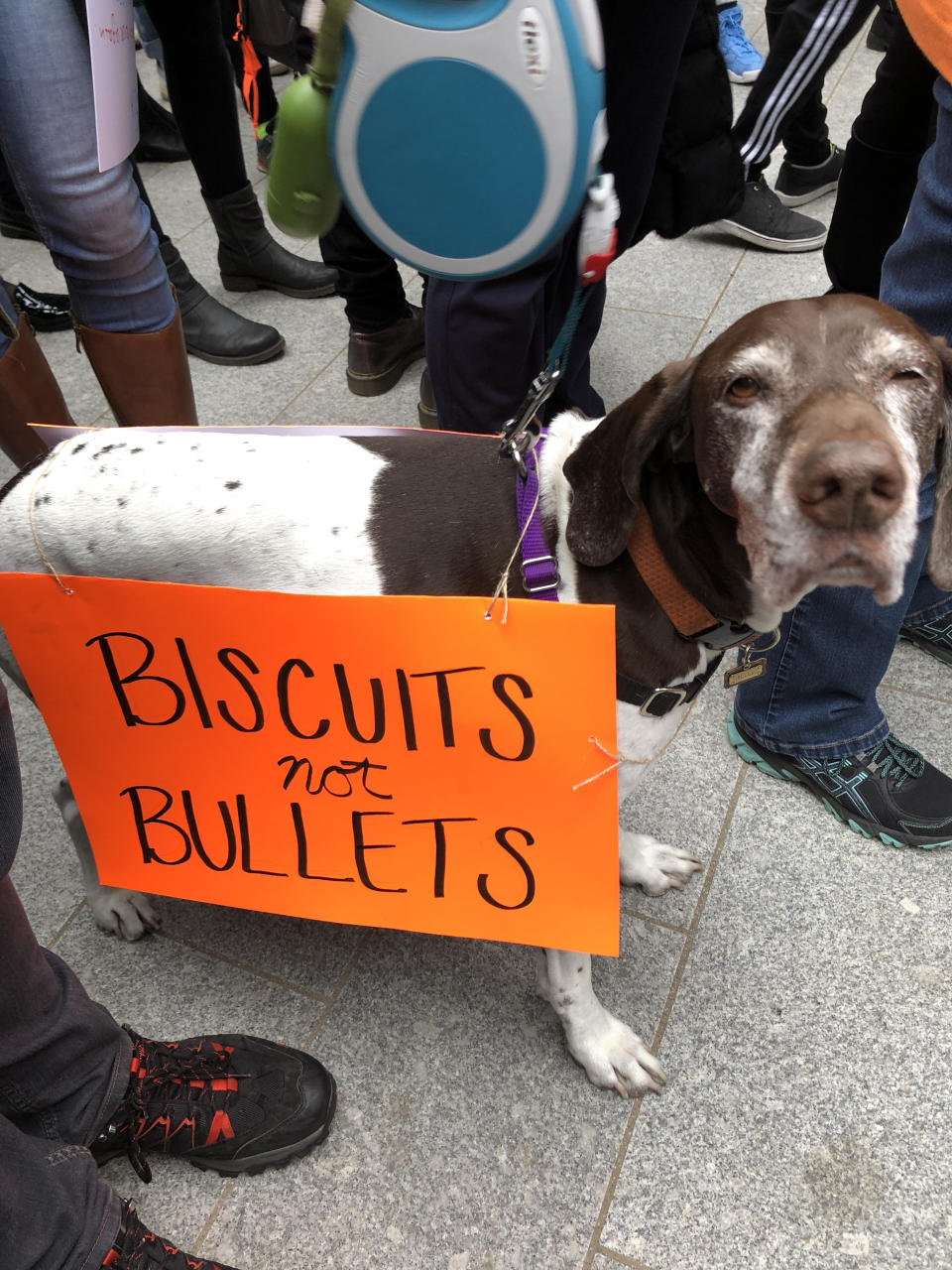 <p>This dog joined in from London. (Photo: Erin Donnelly for Yahoo Lifestyle) </p>