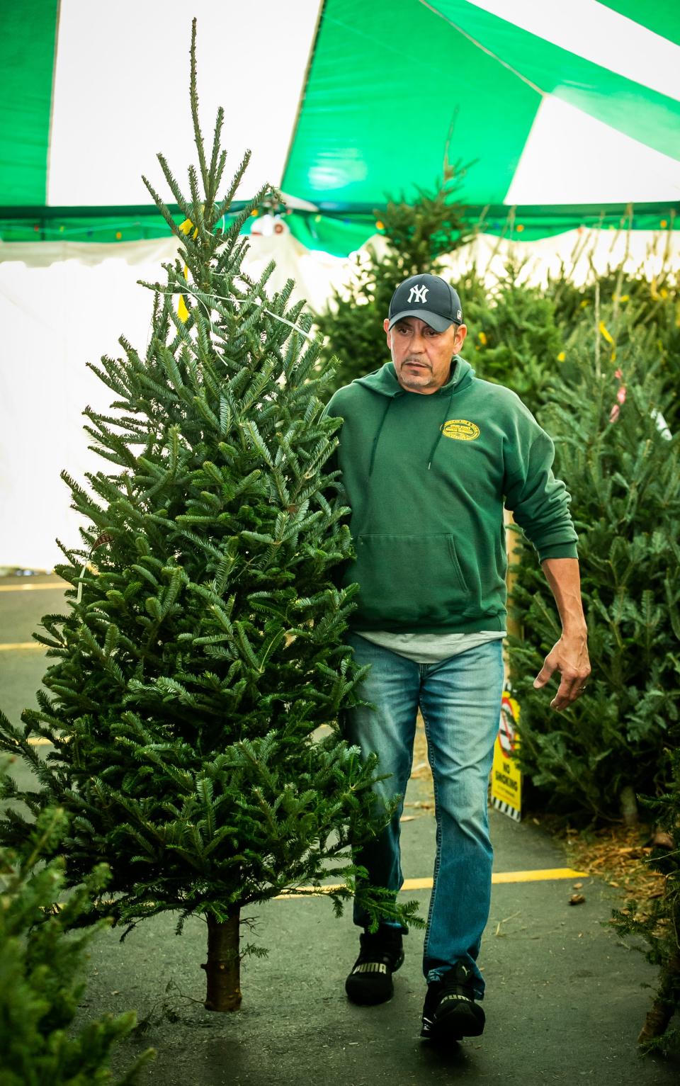 "This is the one," Alex Rucci said after finding the right Christmas tree for his family while shopping on Dec. 1 at Home Depot in Ocala.