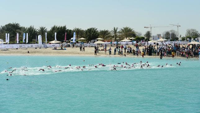Swimmers in the Abu Dhabi Swimming Festival by Daman s ActiveLife.