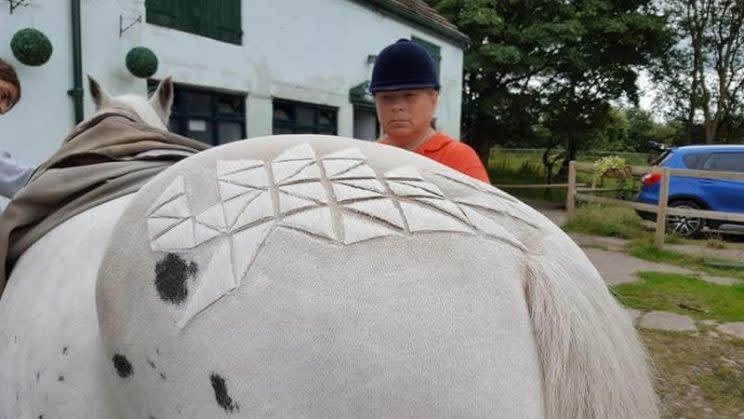 Geometric prints add gorgeous dimension to the horse's hair. (Photo: Facebook)