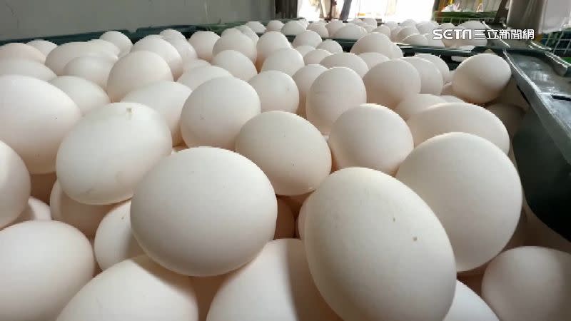 蛋雞的產蛋率下降，造成「缺蛋荒」。