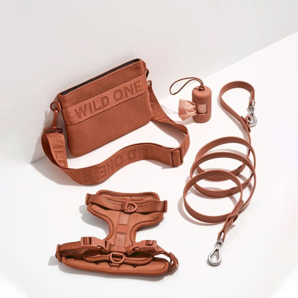 71) Wild One Harness Walk & Treat Kit