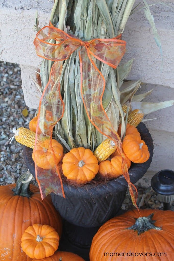 Potted Corn Stalks