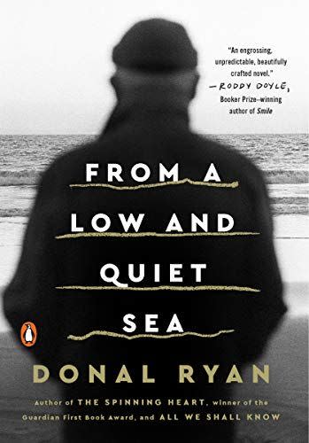 <i>From a Low and Quiet Sea</i> by Donal Ryan