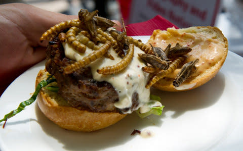 The sale of the burgers follows and increasing trend around the world for edible insects  - Credit: AFP