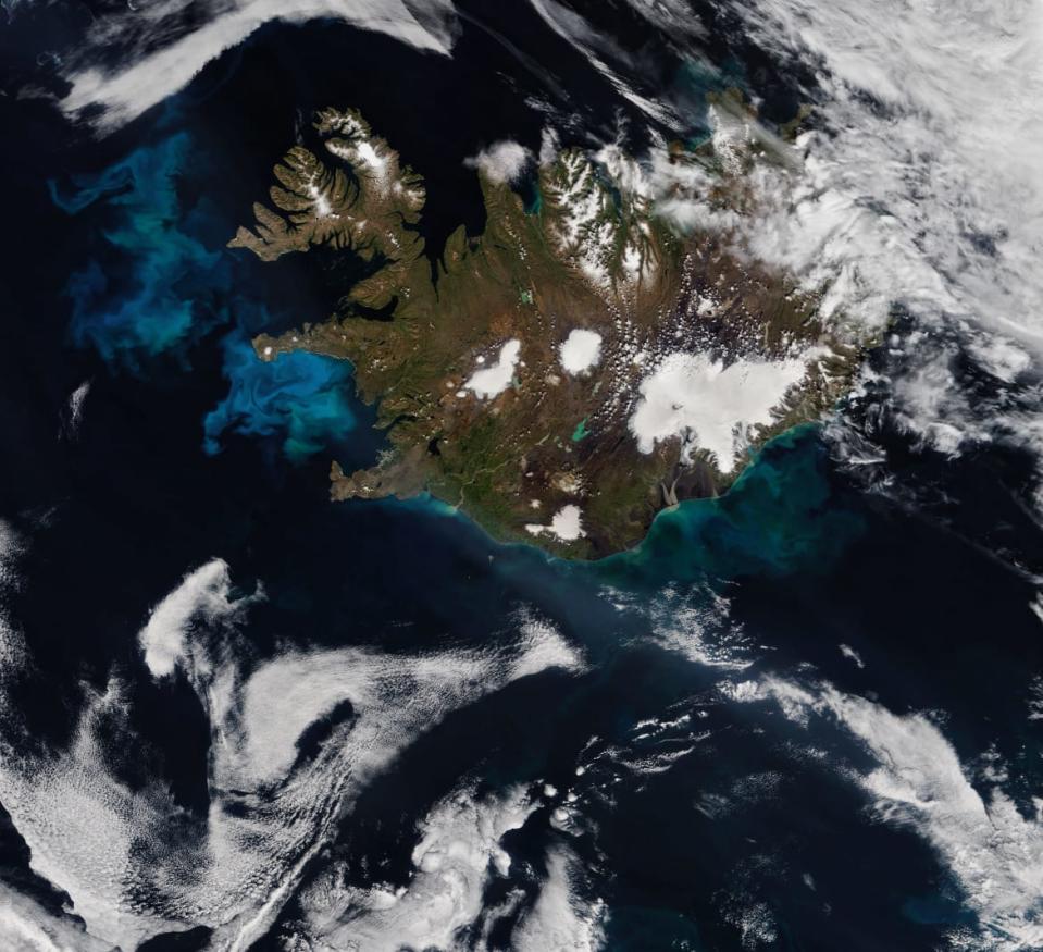 <div class="inline-image__caption"><p>A phytoplankton bloom off the coast of Iceland, as observed from space.</p></div> <div class="inline-image__credit">NASA</div>