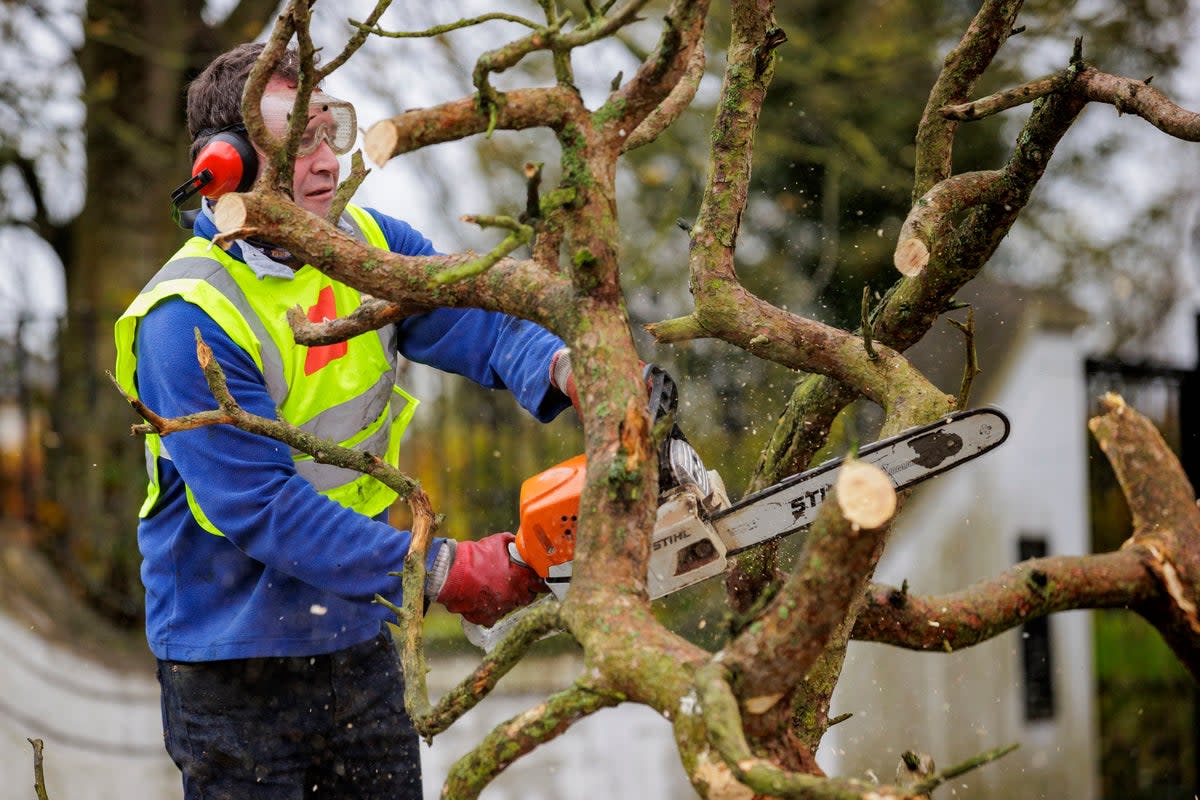 A man using a chainsaw cuts a fallen tree on the Dublin Road in Dundalk (PA)