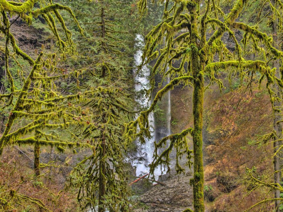 Silver falls state park, Oregon