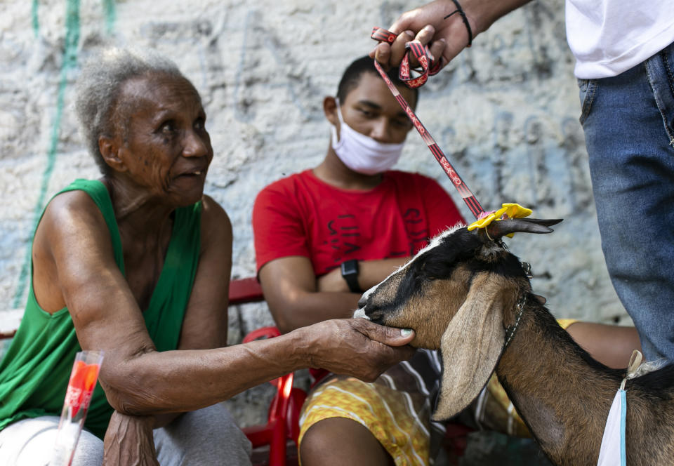 An elderly woman pets a goat named Jurem at the "Casa de Repouso Laços de Ouro" nursing home in Sepetiba, Brazil, Thursday, Oct.1, 2020. The Golias organization brought the animals, who they rescued from abandonment, to provide a little relief from the isolation many elderly people feel, cut off from friends and family due to fear of contagion from the new coronavirus. (AP Photo/Bruna Prado)