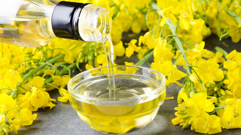 pouring oil from a bottle with canola flowers