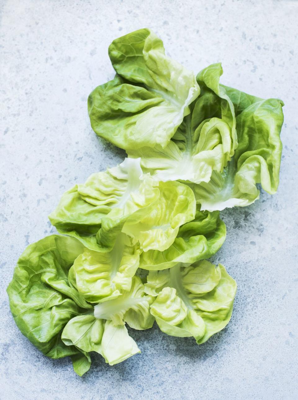 butterhead lettuce leaves