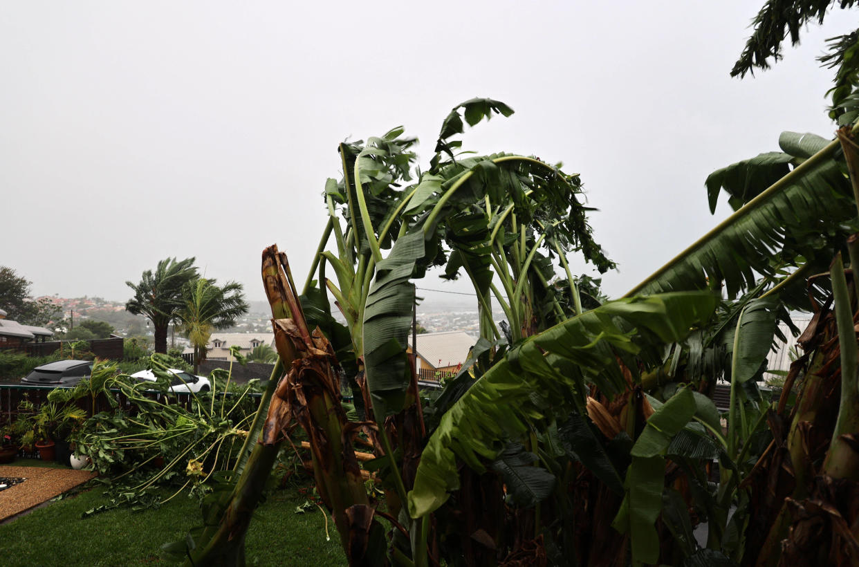 Des arbres soumis à des vents très forts lors du passage du cyclone Belal, à La Possession, sur l’île d’outre-mer française de La Réunion, le 15 janvier 2024.