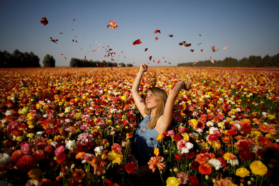 A woman in a buttercup flower field outside the Gaza Strip