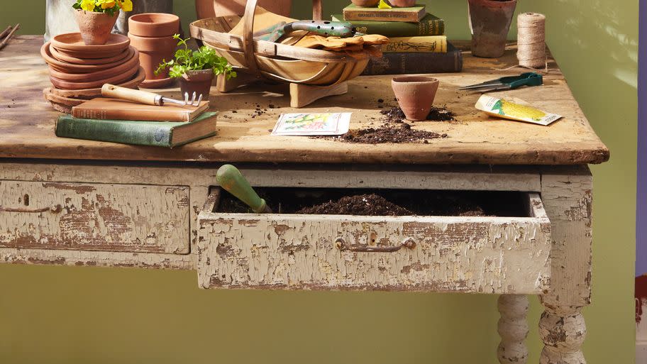 flowering potted jasmine growing up a salvaged window trellis, displayed on rustic table with pots, watering can, garden tools