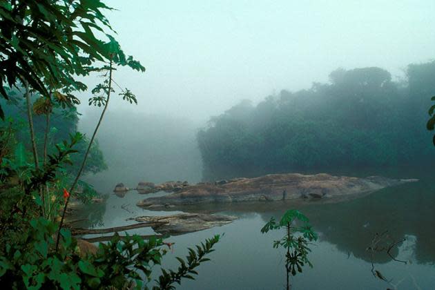 <p>O país sul-americano sofreu com uma falta de mão de obra qualificada capaz de ocupar postos de trabalho na indústria agrícola e mineradora. Ainda assim, o desemprego caiu de 28,5% em 2006 para o nível atual de 21%. A indústria do açúcar é responsável por 28% de todos os ganhos decorrentes da exportação, e é amplamente dominada pela empresa GuySuCo – que emprega mais pessoas do que qualquer outra indústria.</p>