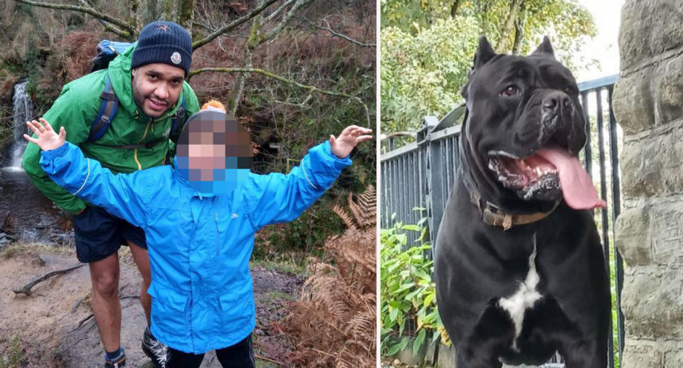 Left: Man and son wearing rain jackets outdoors on walk. Right: Large black Cane Corso dog with tongue sticking out. 