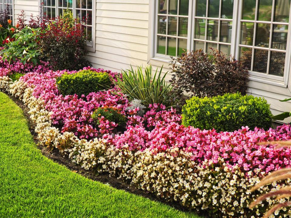 garden in front of a house with mostly pink and white flowers and some shrubs